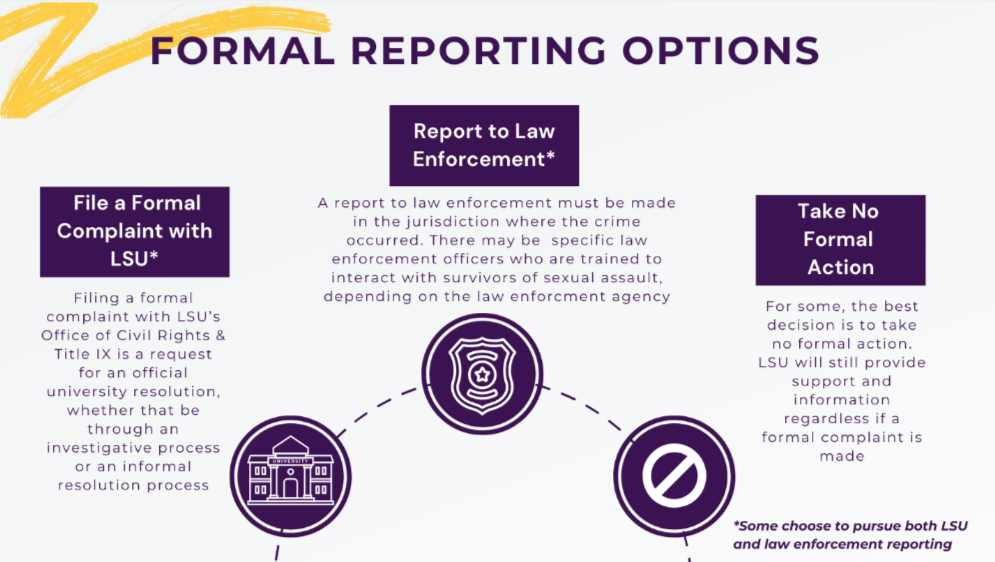 flowchart of reporting options: text-only details follow
