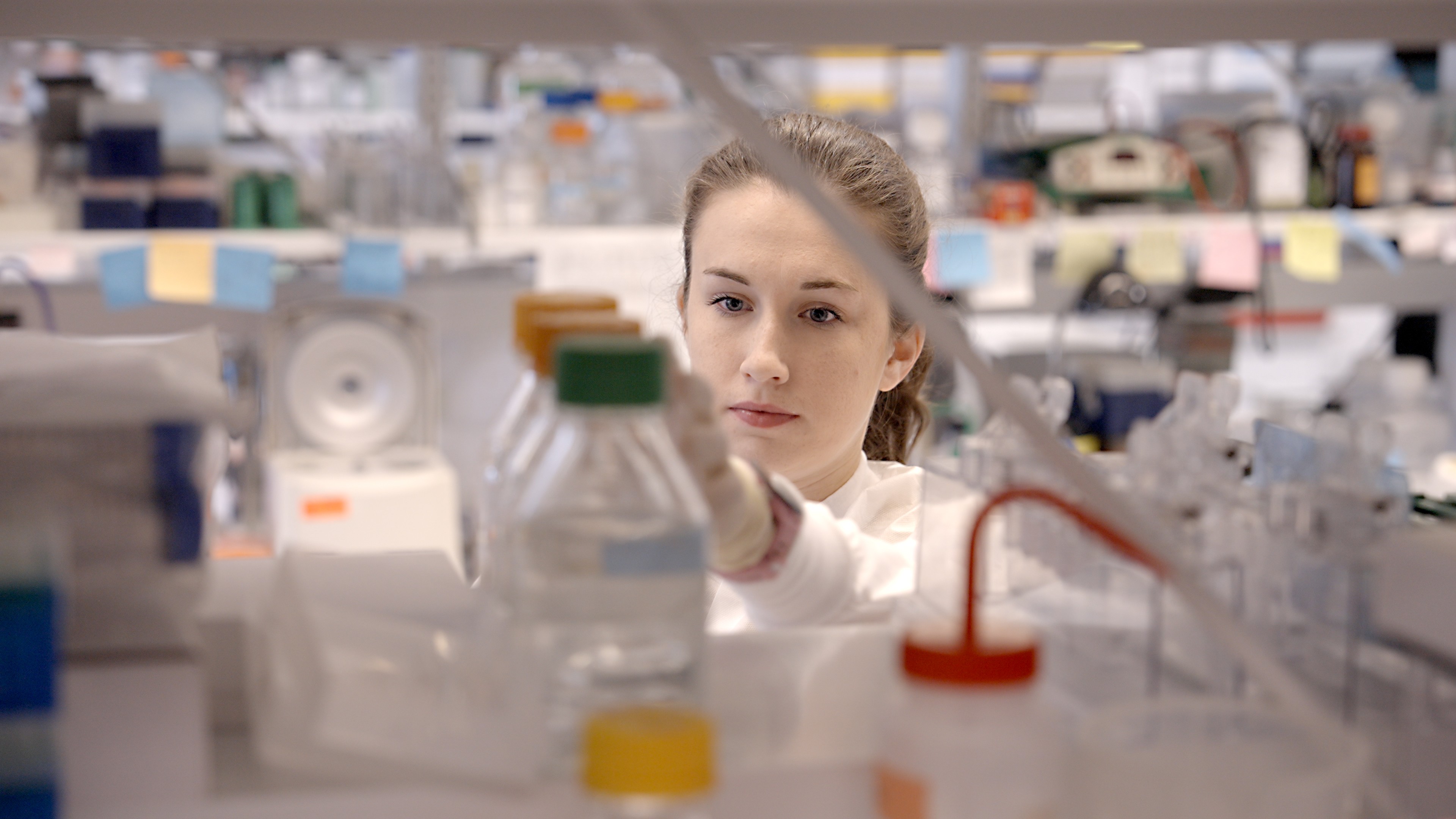 A female scientist works in the lab