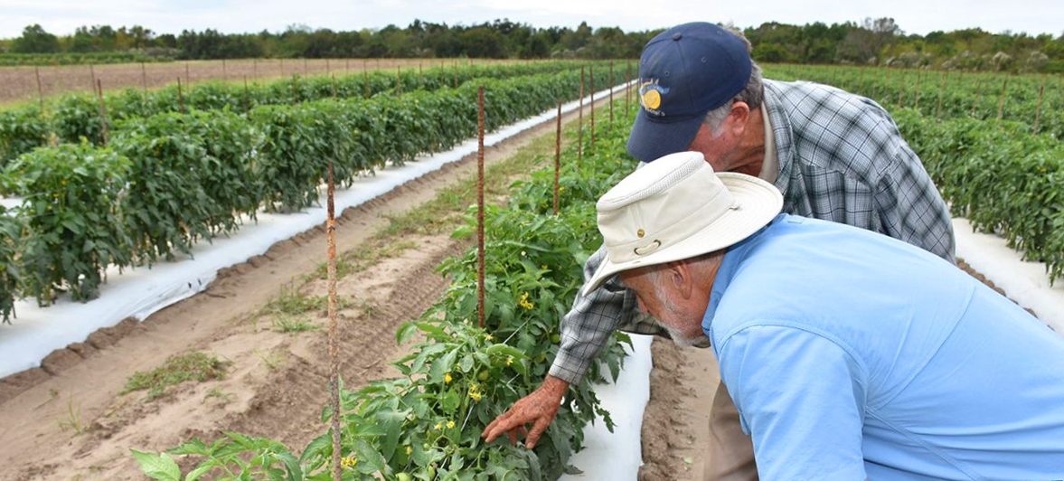 LSU AgCenter reps in the field