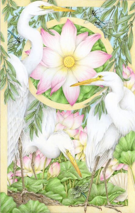 Grace white birds surrounded by flowers