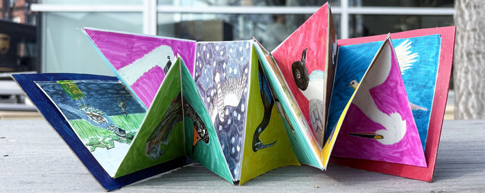 Power of the Migratory Bird Act acrylic paint, brush pen, color pencil of various birds